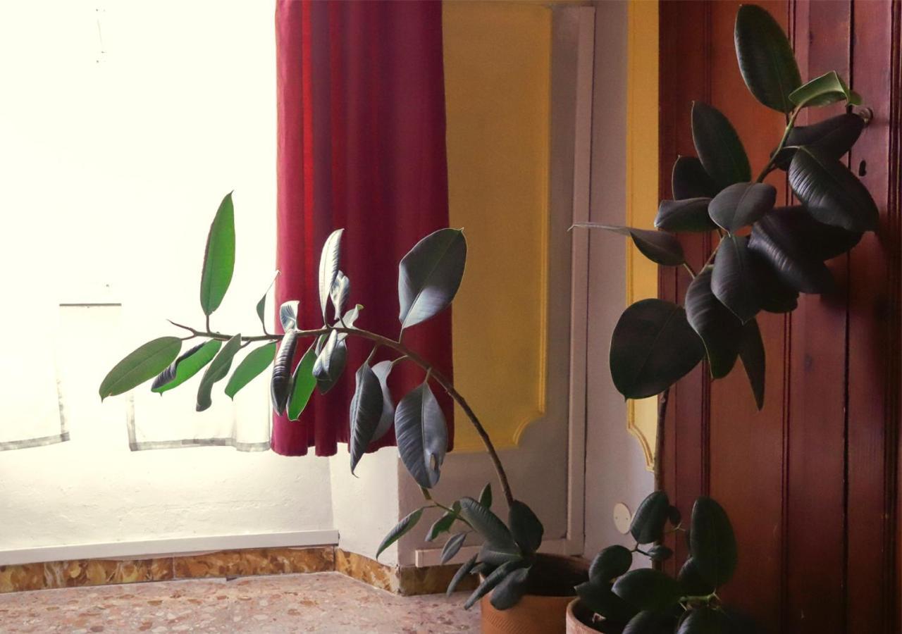Retro B&B Пиза Екстериор снимка